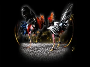 Bí Quyết Chinh Phục Đá Gà Sabong Tại TK88 Từ Các Chuyên Gia