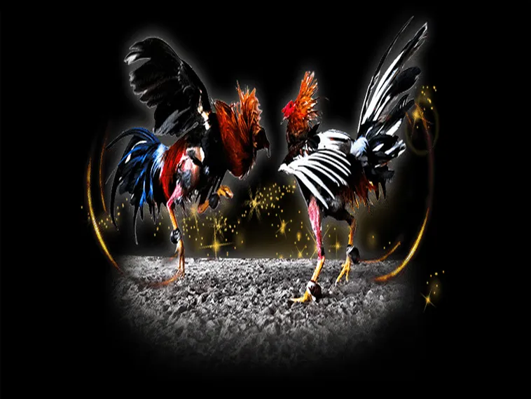 Bí Quyết Chinh Phục Đá Gà Sabong Tại TK88 Từ Các Chuyên Gia